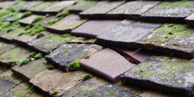 Great Dunmow roof repair costs